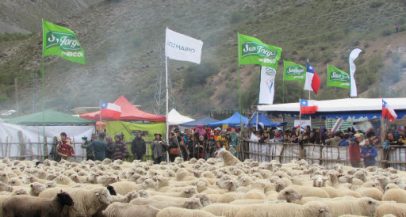 Fiesta de la esquila El Relvo 2014