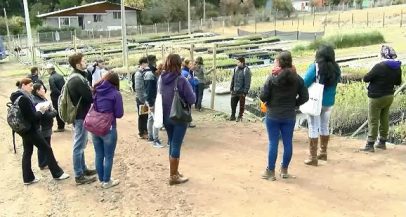 Alumnos Curso Nivelación de Estudios visitan Vivero Alto Maipo