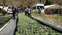 Curso de jardinería y mantención de áreas verdes visita el Vivero Alto Maipo