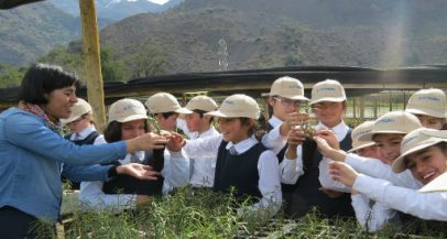 Se reinicia Programa de Visitas al Vivero Alto Maipo