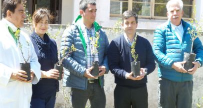 Alto Maipo realizó donación de árboles y arbustos nativos a Hospital de San José de Maipo