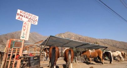 Seguimiento proyectos Fondo Concursable San José de Maipo