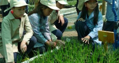 Programa de educación ambiental para vecinos de San José de Maipo