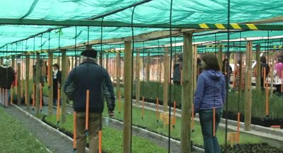 Vecinos visitan Vivero Alto Maipo