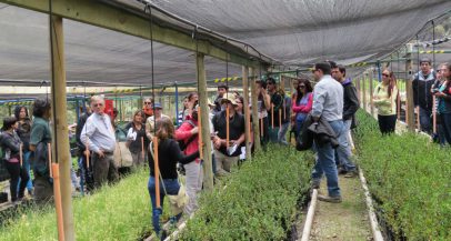 Visita del colegio Piamarta al vivero Alto Maipo